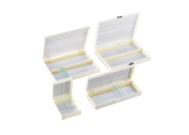 Slide Storage Box